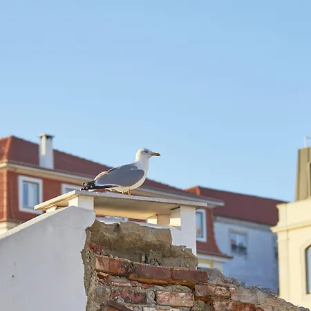 Lisbon Five Stars Apartments Bica-3